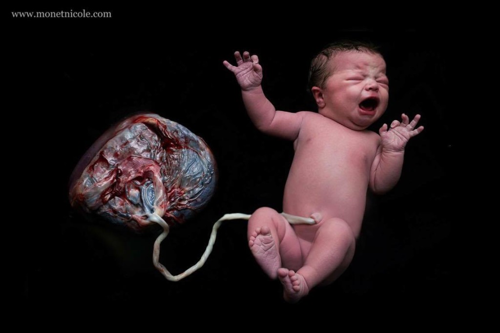 новорожденный и плацента
